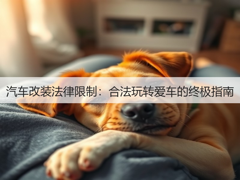 汽车改装法律限制：合法玩转爱车的终极指南