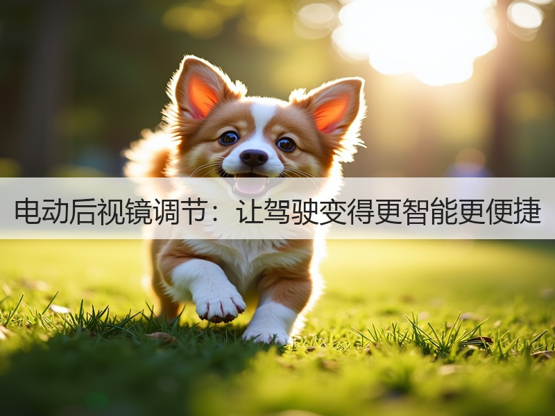 电动后视镜调节：让驾驶变得更智能更便捷
