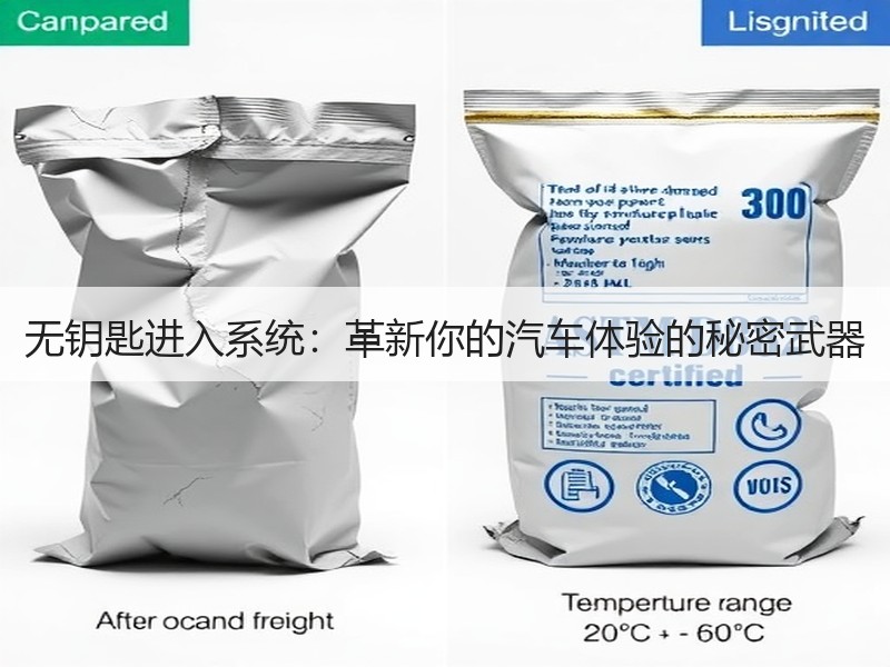 无钥匙进入系统：革新你的汽车体验的秘密武器