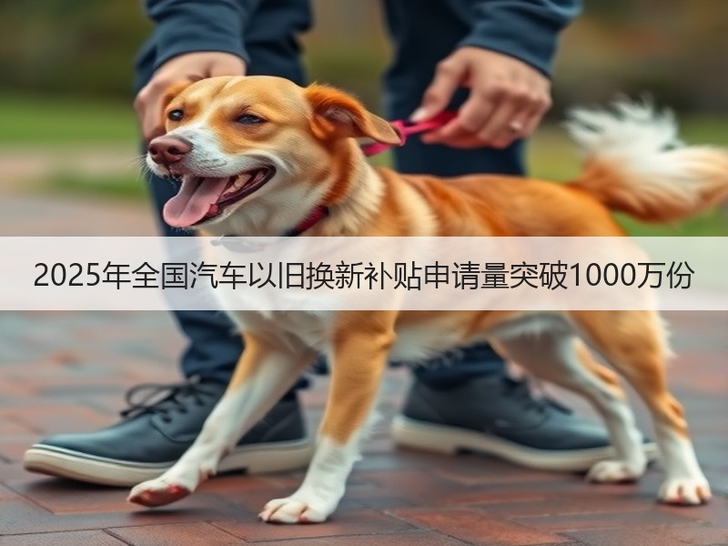 2025年全国汽车以旧换新补贴申请量突破1000万份