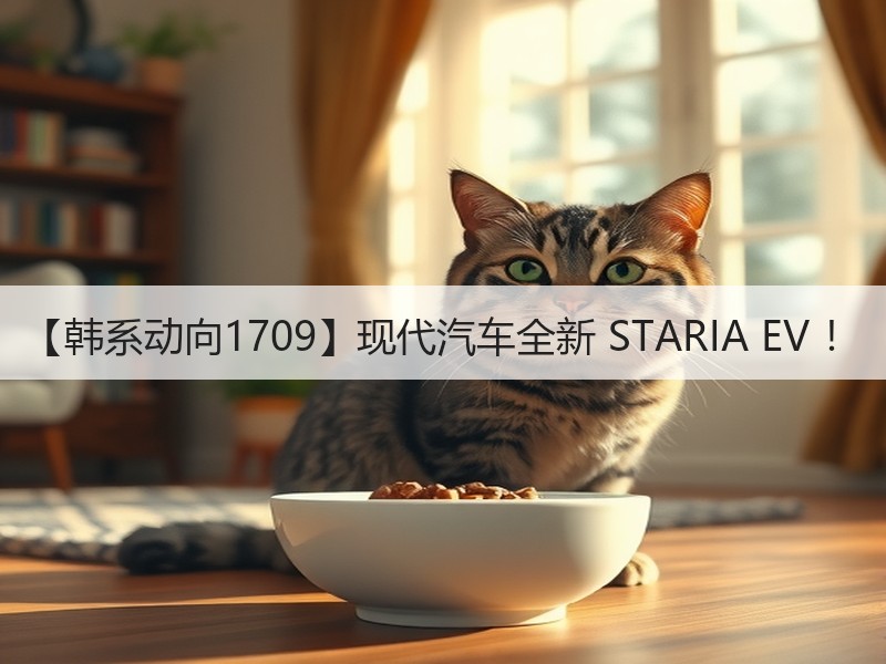 【韩系动向1709】现代汽车全新 STARIA EV ！