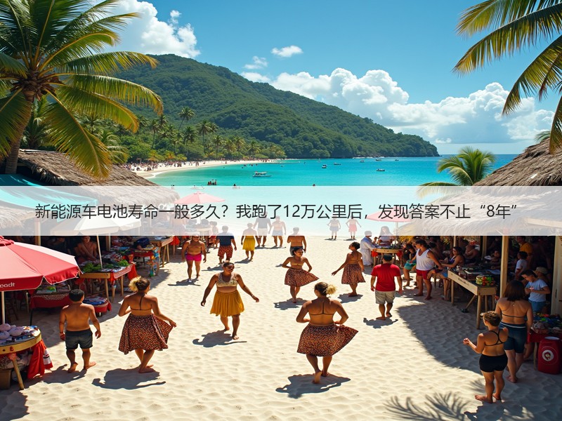 新能源车电池寿命一般多久？我跑了12万公里后，发现答案不止“8年”