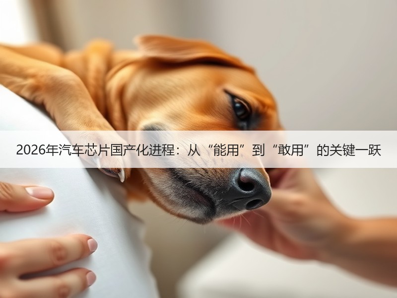 2026年汽车芯片国产化进程：从“能用”到“敢用”的关键一跃