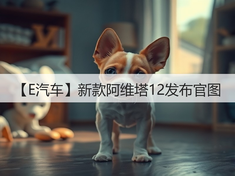 【E汽车】新款阿维塔12发布官图
