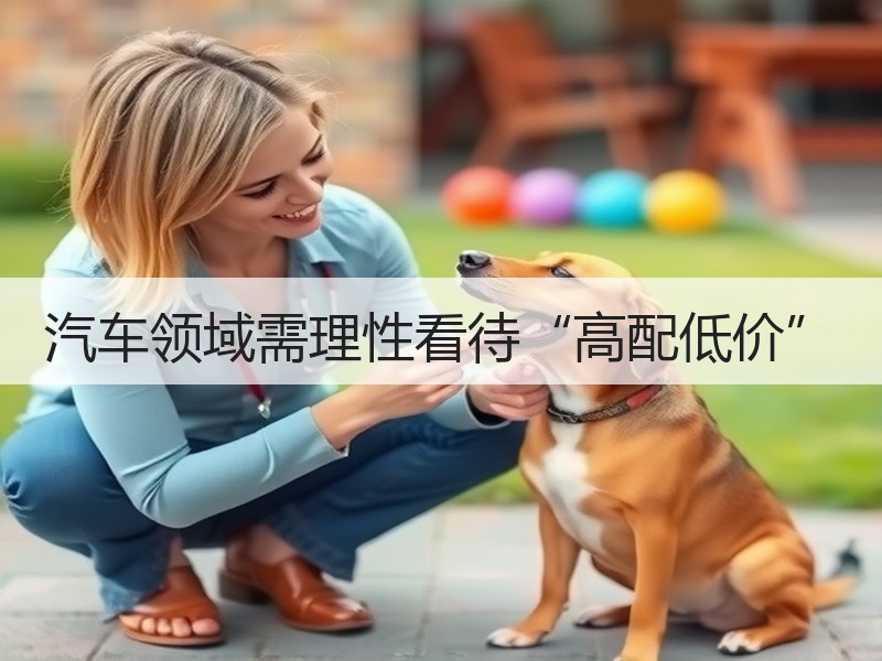 汽车领域需理性看待“高配低价”