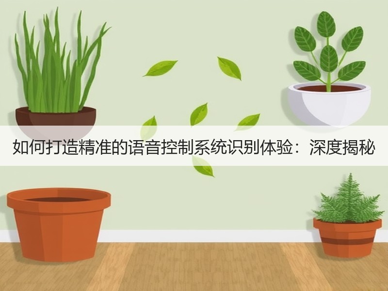 如何打造精准的语音控制系统识别体验：深度揭秘