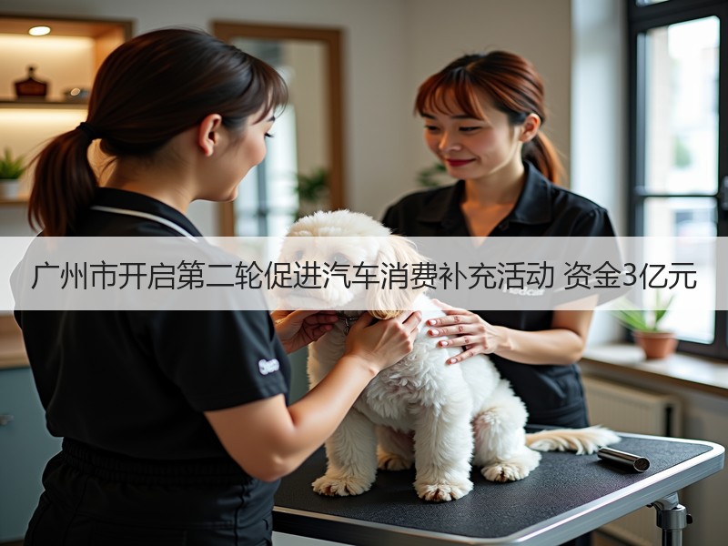 广州市开启第二轮促进汽车消费补充活动 资金3亿元