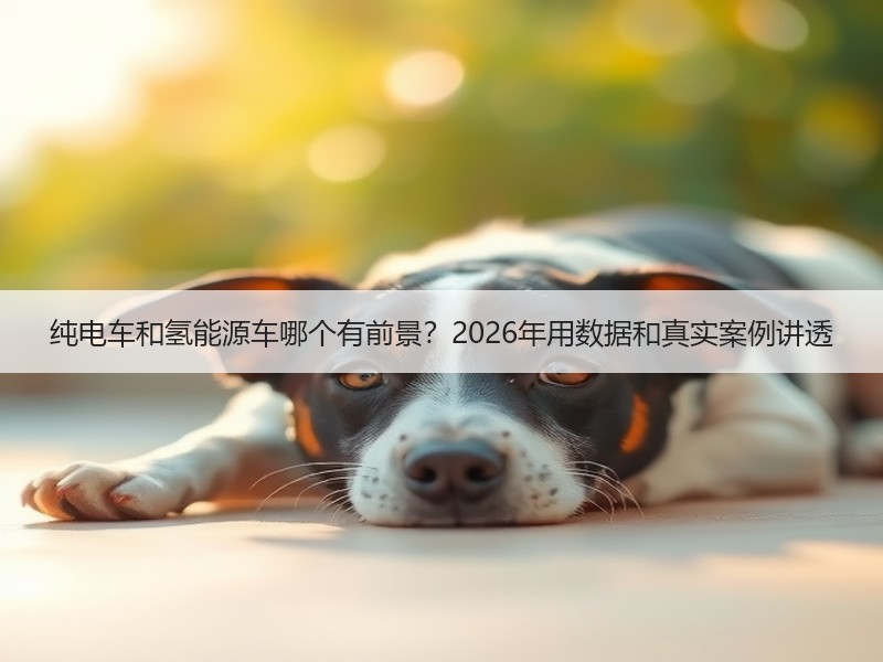 纯电车和氢能源车哪个有前景？2026年用数据和真实案例讲透