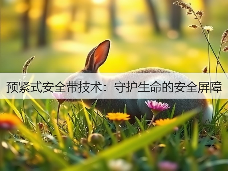 预紧式安全带技术：守护生命的安全屏障