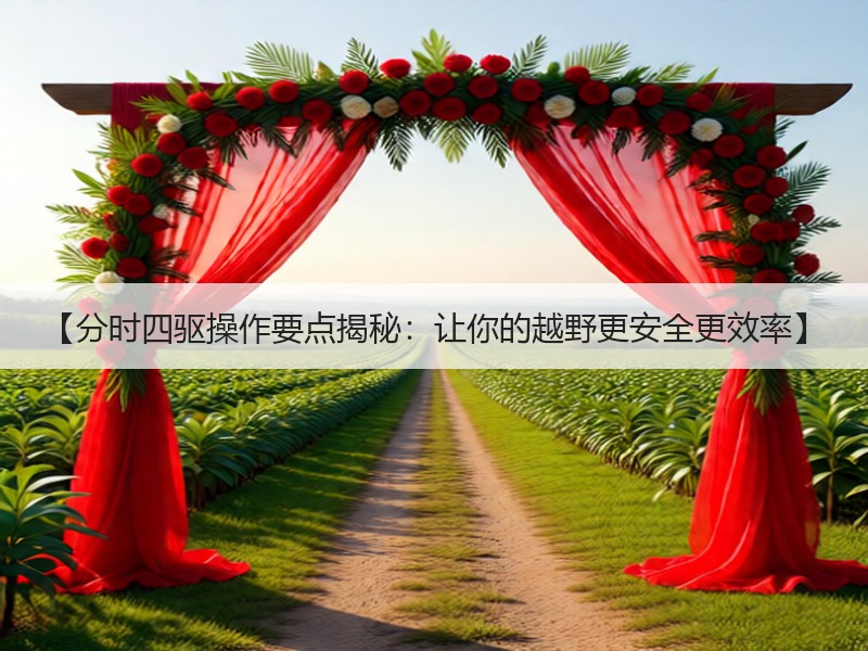 【分时四驱操作要点揭秘：让你的越野更安全更效率】