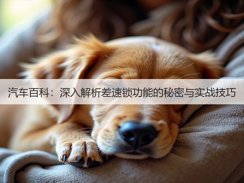 汽车百科：深入解析差速锁功能的秘密与实战技巧