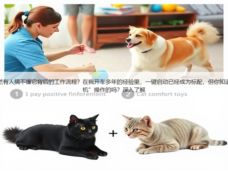 为什么一键启动如此普及，却依然有人搞不懂它背后的工作流程？在我开车多年的经验里，一键启动已经成为标配，但你知道它是如何精准、安全地完成“开机”操作的吗？深入了解