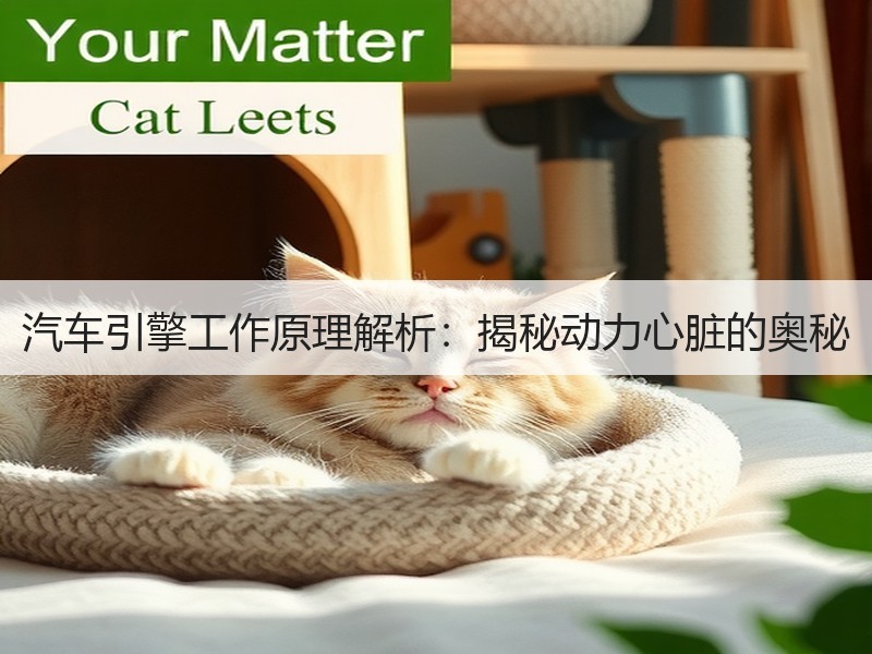 汽车引擎工作原理解析：揭秘动力心脏的奥秘
