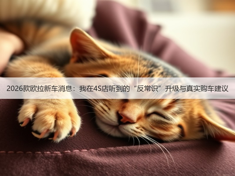 2026款欧拉新车消息：我在4S店听到的“反常识”升级与真实购车建议