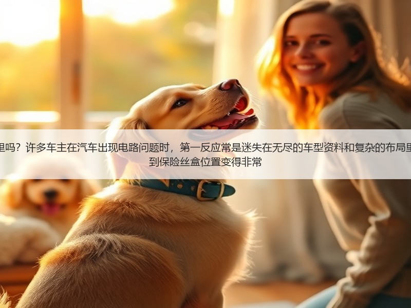 保险丝盒位置查找，你知道在哪里吗？许多车主在汽车出现电路问题时，第一反应常是迷失在无尽的车型资料和复杂的布局里。实际上，