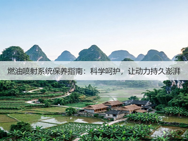 燃油喷射系统保养指南：科学呵护，让动力持久澎湃