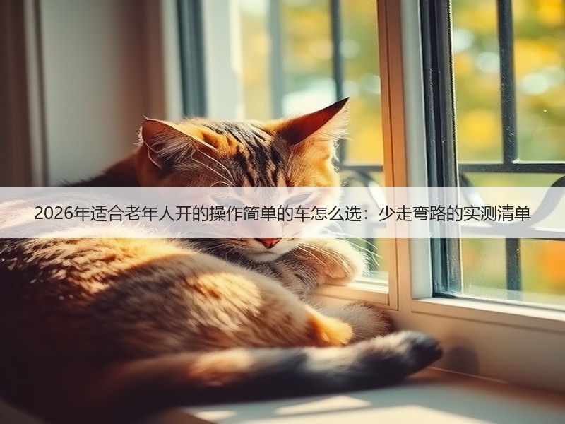 2026年适合老年人开的操作简单的车怎么选：少走弯路的实测清单