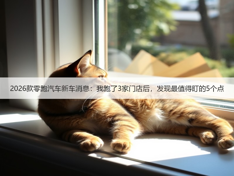 2026款零跑汽车新车消息：我跑了3家门店后，发现最值得盯的5个点