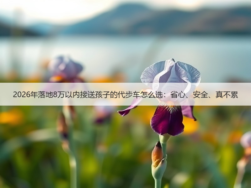 2026年落地8万以内接送孩子的代步车怎么选：省心、安全、真不累