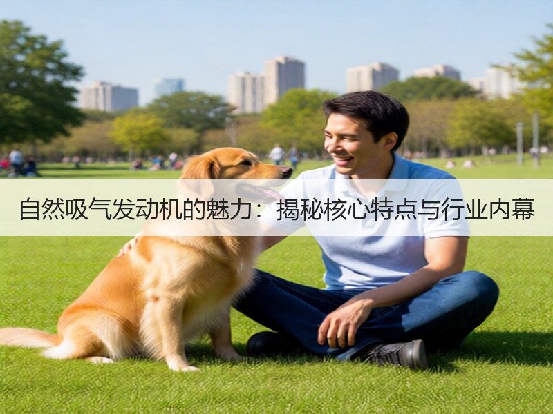 自然吸气发动机的魅力：揭秘核心特点与行业内幕