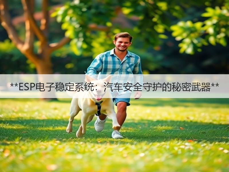 **ESP电子稳定系统：汽车安全守护的秘密武器**
