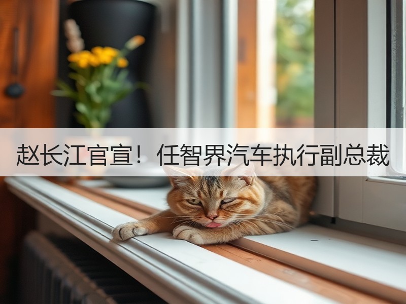 赵长江官宣！任智界汽车执行副总裁