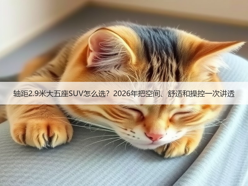 轴距2.9米大五座SUV怎么选？2026年把空间、舒适和操控一次讲透